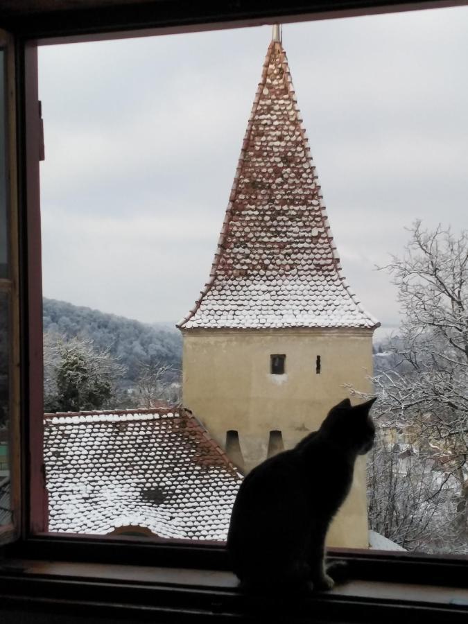 Casa Cojo Apartment Sighisoara Bagian luar foto