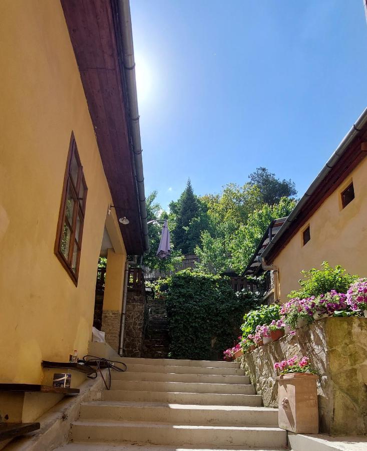 Casa Cojo Apartment Sighisoara Bagian luar foto